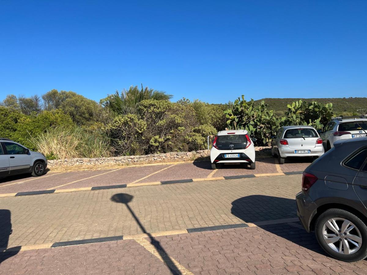 Casa Sibilla Bi-Locale Con Terrazza A 60 Metri Dal Mare Daire Marinella  Dış mekan fotoğraf