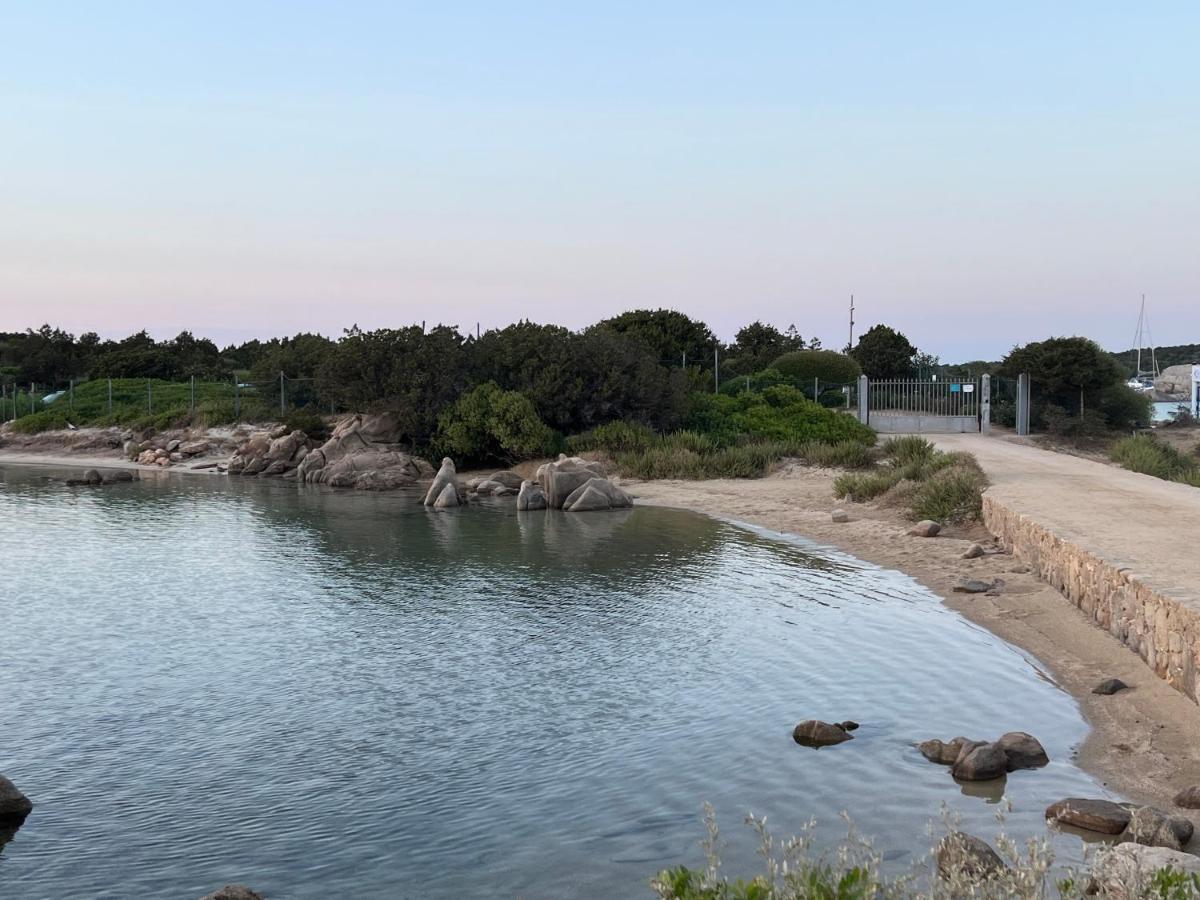 Casa Sibilla Bi-Locale Con Terrazza A 60 Metri Dal Mare Daire Marinella  Dış mekan fotoğraf
